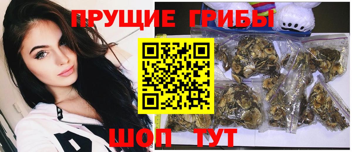 что такое   Вход с VPN  Бахчисарай  Галлюциногенные грибы Psilocybine cubensis 