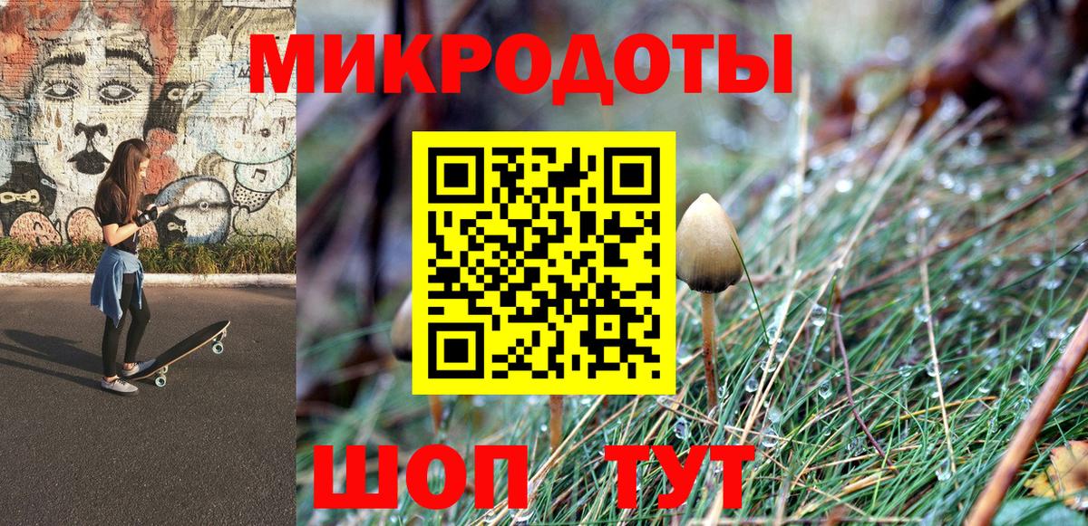 Галлюциногенные грибы Psilocybe Бахчисарай